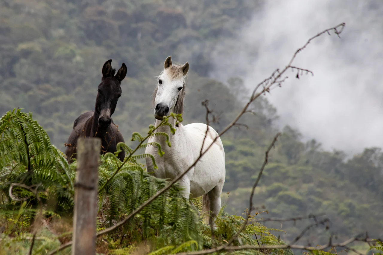 Fotografía de hotel y territorio por Jorge Bejarano